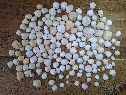 170 beach art craft - beach,