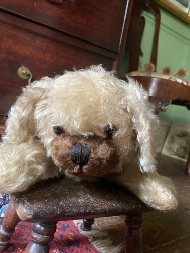 Vintage mohair pekingese - vintage,