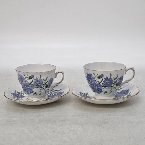 Royal vale blue cornflower - royal,