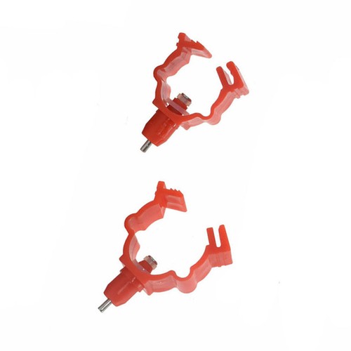 Durable red poultry - poultry, water