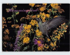 Postcard Blue-throated