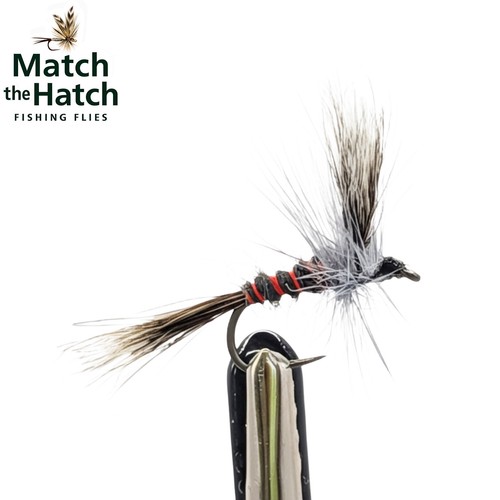 Grey wulff mayfly - grey, variant