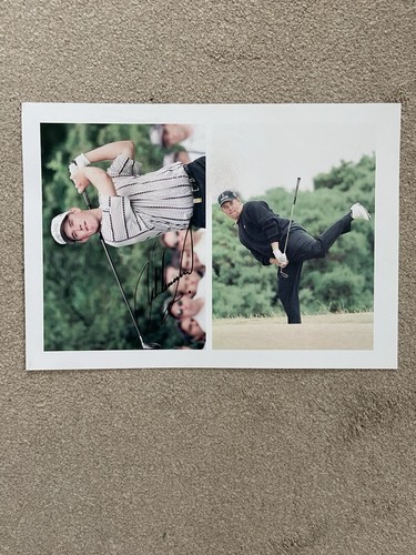 Lee westwood ryder - westwood, golf