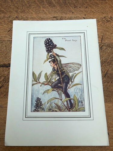 Early 1900s colour print - 1900s, from