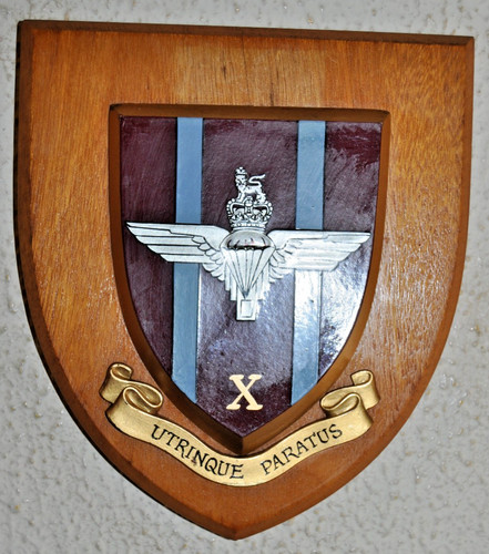 10th battalion parachute - 10th,