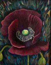 Poppy Flower Acrylic Painting