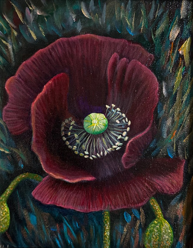 Poppy flower acrylic - poppy, painting