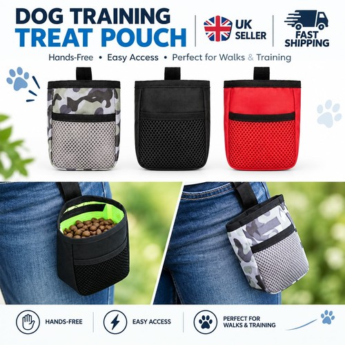 Dog walking training obedience - dog,