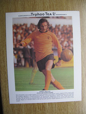 DEREK DOUGAN - TYPHOO TEA