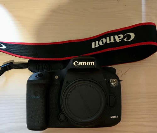 Canon mark shutter - 7d,