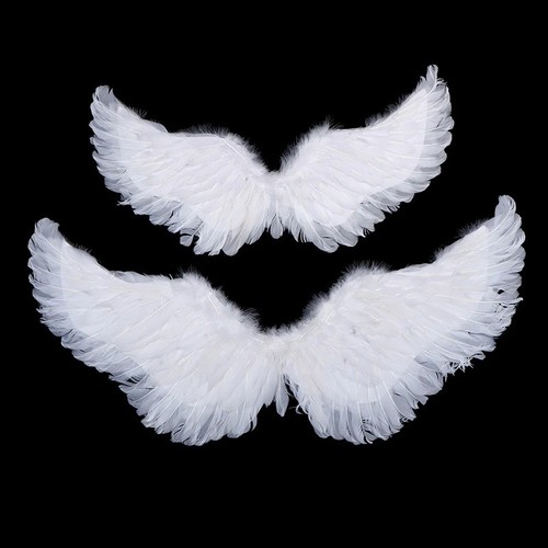 60x45cm angel feather wings - 60x45cm,