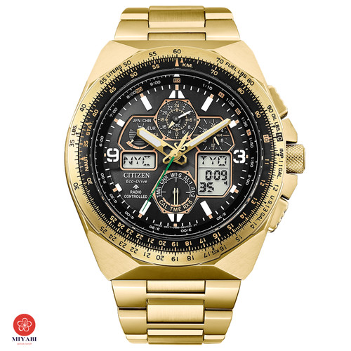 Citizen promaster skyhawk - promaster,