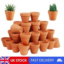 50 Pcs Tiny Terracotta Pots -