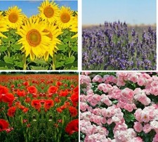 Unique floral decorative printed fence screening