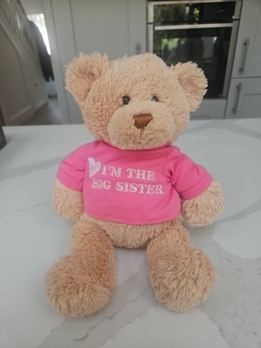 Big sister bear - sister,
