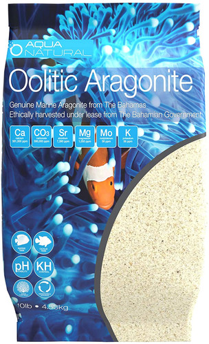 Oolitic aragonite 10lb - oolitic,