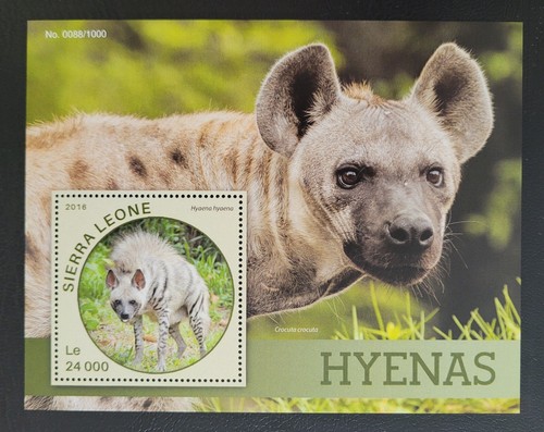 Sierra leone 2016 fauna - /,