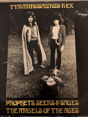 Vanyl record tyrannosaurus rex - record-tyrannosaurus,