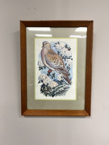 Vintage tunnicliffe - vintage, c.f.