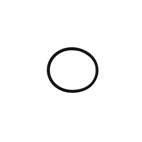 Inlet filter ring - o-ring, for