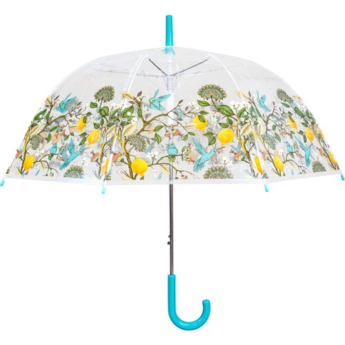 Lemon tree clear dome - clear,