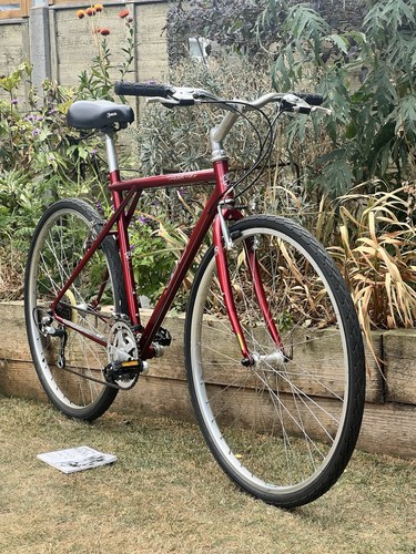 Arette steel hybrid - 19”,