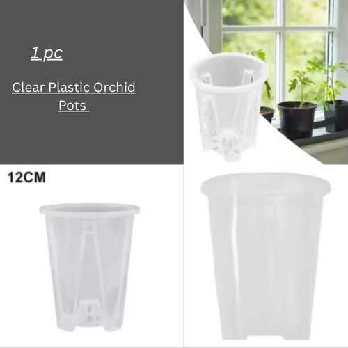 Orchid pot clear - orchid,