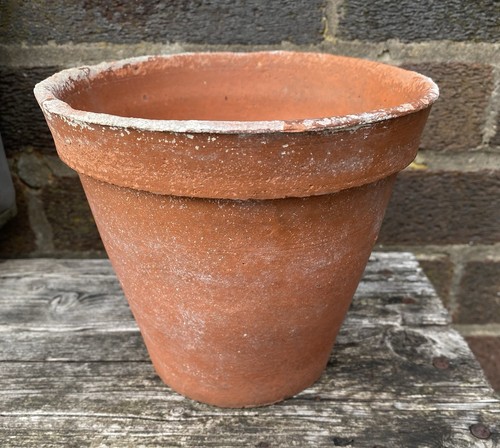 Vintage aged terracotta plant - vintage,