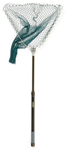 Mclean bronze series - mclean,