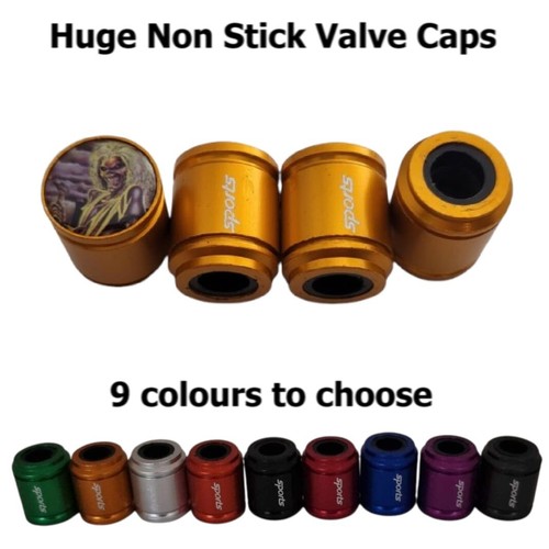 Iron maiden valve dust - valve,