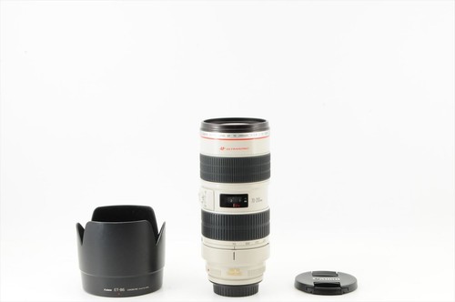 Near mint hood canon ef - hood,