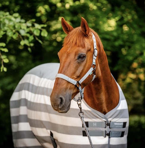 Horseware ireland newmarket - horseware,
