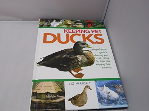 Keeping pet ducks - keeping,