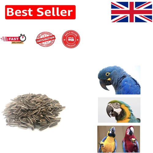 5kg additive free sunflower - 5kg, additive-free