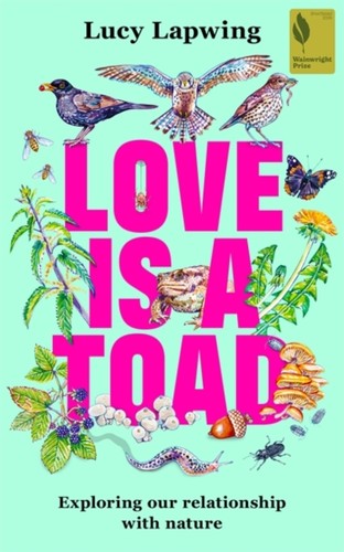Love toad lucy lapwing - toad,