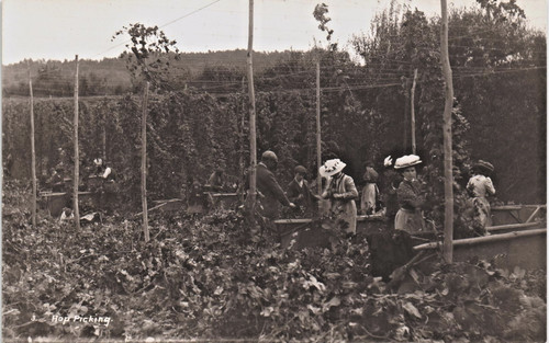 Kent hop picking 3 by - hop, #