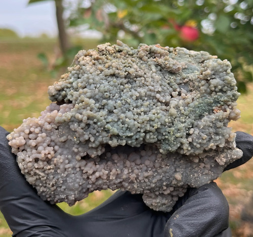 Grape agate geode botryoidal - |,