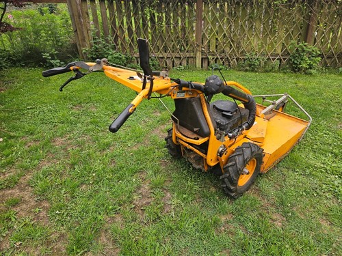 Brush cutting machine - brush,