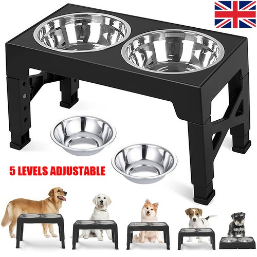 Pet dog double - dog, bowls