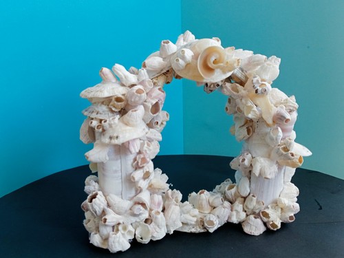 Barnacle arch with sea - with,