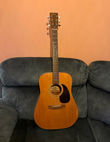 Fender 6 string - f-3, 6-string