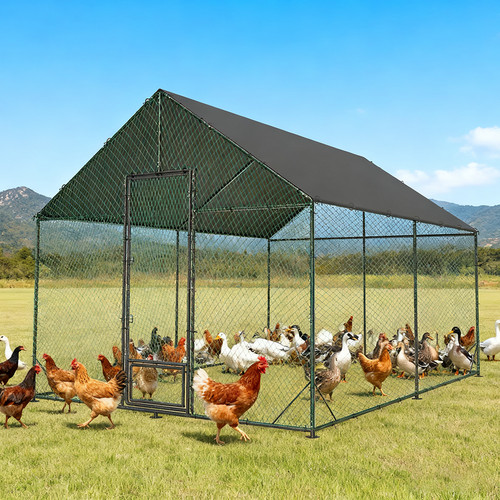 Xxl walk chicken run - xxl, coop