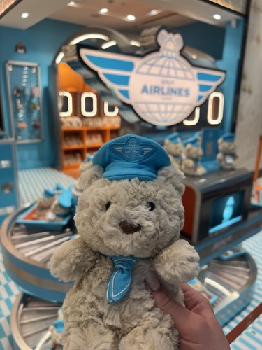 Airlines teddy bear plush - teddy, soft