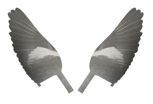 Pro flap wing decoy - pro,