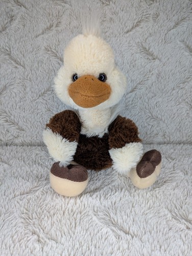 Shining stars ostrich - stars,
