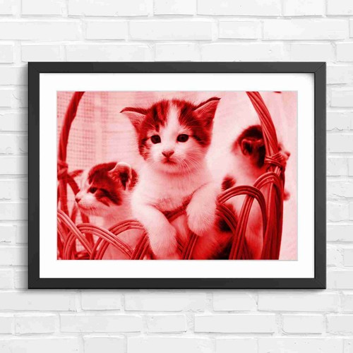 Adorable kittens wicker - in,