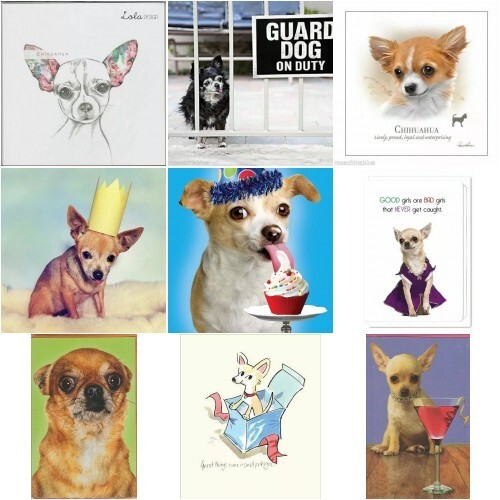 Chihuahua funny cute dog - or,