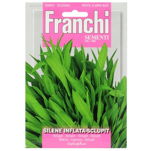 Franchi seeds sculpit silene - franchi,