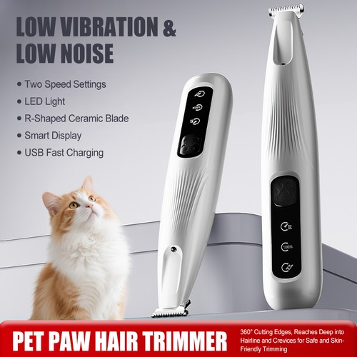 Pet cat dog paw - dog,