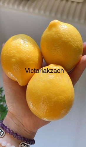 Meyer lemon seeds citrus - seeds,